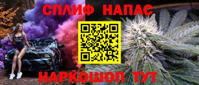 сатива Будённовск