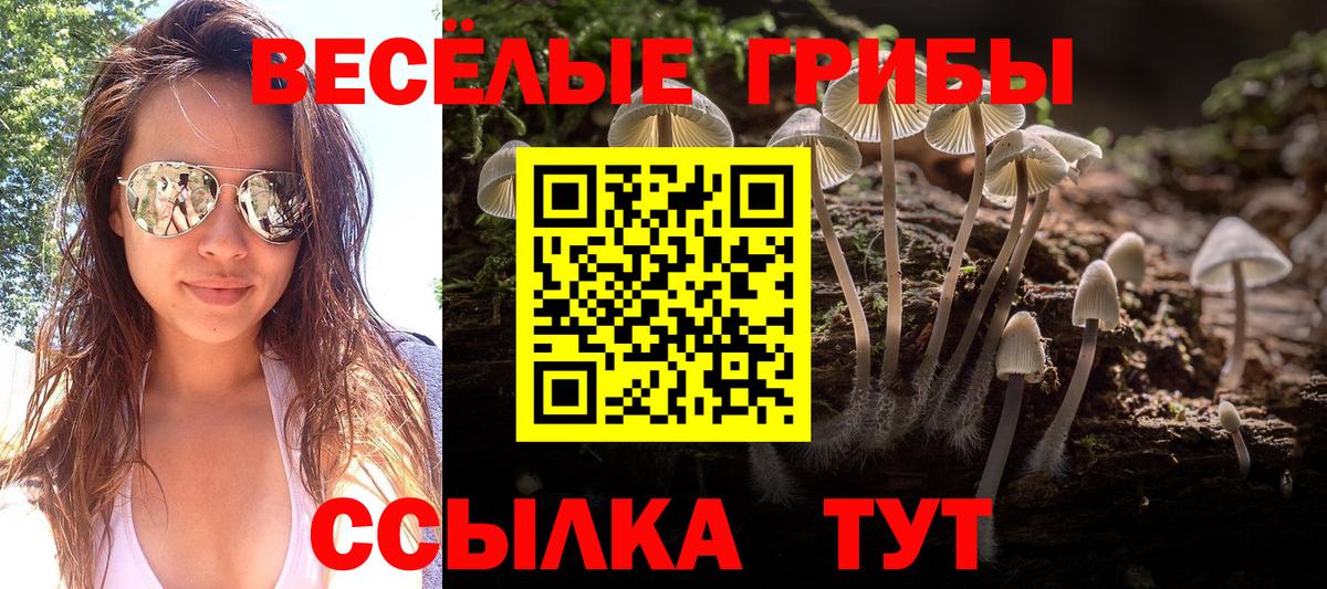 Новокузнецк  Галлюциногенные грибы Psilocybe  Вход с VPN 