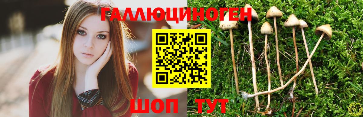 Галлюциногенные грибы ЛСД Новокузнецк